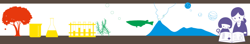 rika_banner2.png