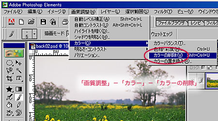 J[̍폜