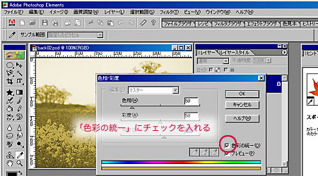 Fʂ̓