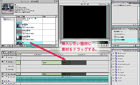 fނ̑}